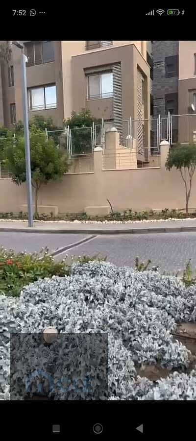 19 WhatsApp Image 2026-08-07 at 07.56. 17. jpeg