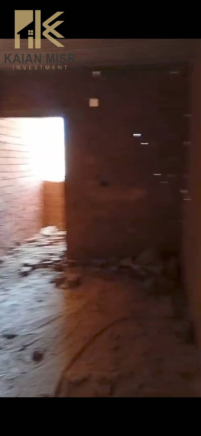 6 3017. jpg