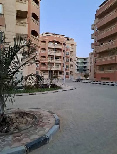 شقة 3 غرف نوم للايجار في 6 اكتوبر، الجيزة - شقة 3 غرف أول ساكن للإيجار| كليوباترا سيتي أكتوبر | محور البوليفار شقة 3 غرف نوم للايجار في 6 اكتوبر، الجيزة - شقة 3 غرف أول ساكن للإيجار| كليوباترا سيتي أكتوبر | محور البوليفار