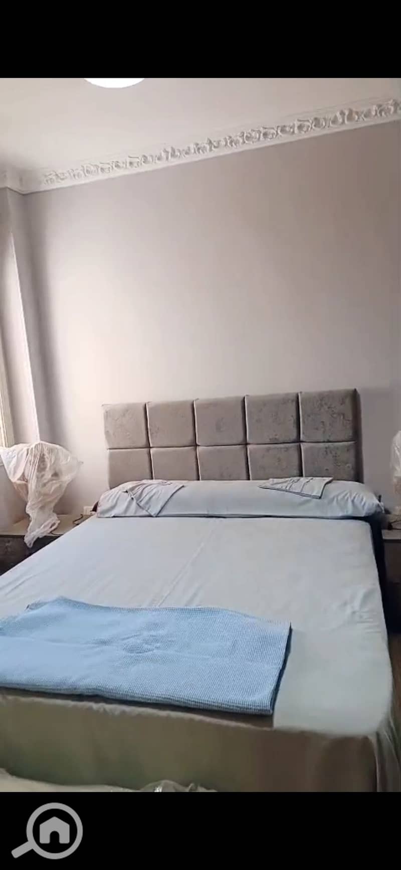 7 1001530394. jpg