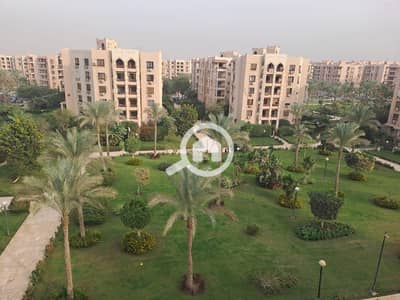 2 Bedroom Apartment for Rent in New Cairo, Cairo - WhatsApp Image 2026-08-07 at 5.17. 31 PM. jpeg 2 Bedroom Apartment for Rent in New Cairo, Cairo - WhatsApp Image 2026-08-07 at 5.17. 31 PM. jpeg