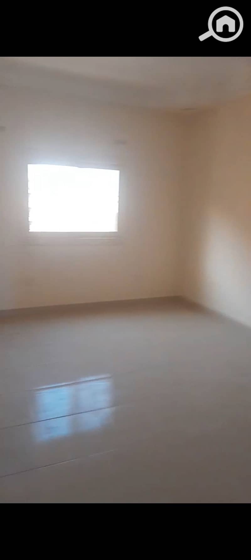 12 1000392597. jpg