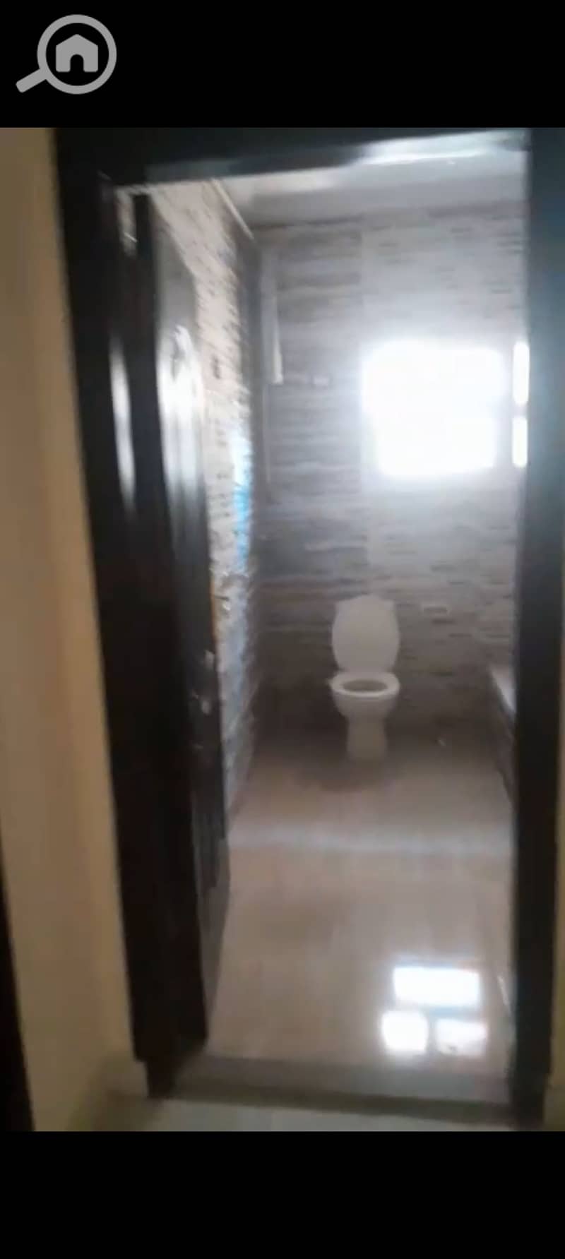 13 1000392596. jpg