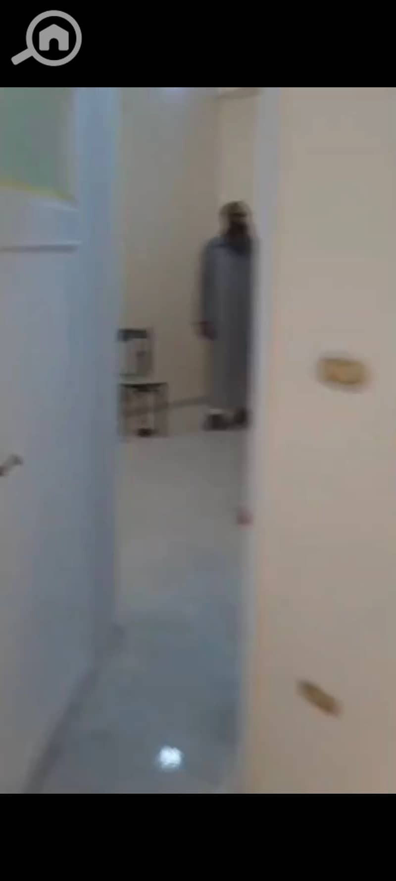 3 57833. jpg