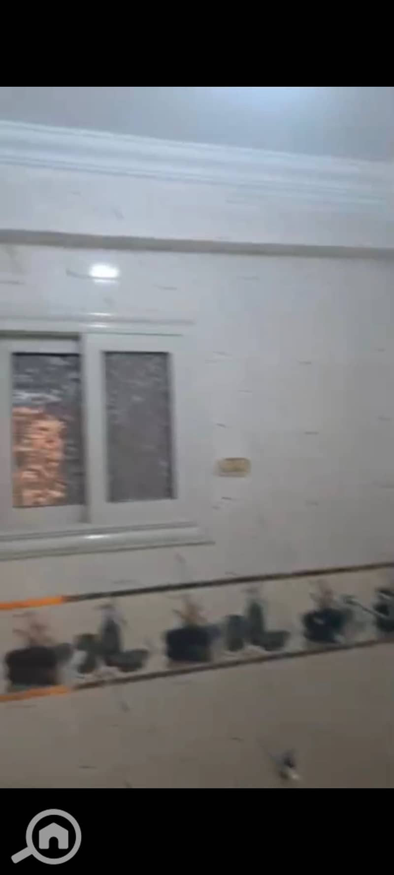 9 57831. jpg