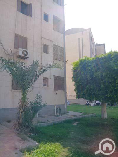 2 Bedroom Flat for Rent in Sheikh Zayed, Giza - 1000099575. jpg 2 Bedroom Flat for Rent in Sheikh Zayed, Giza - 1000099575. jpg