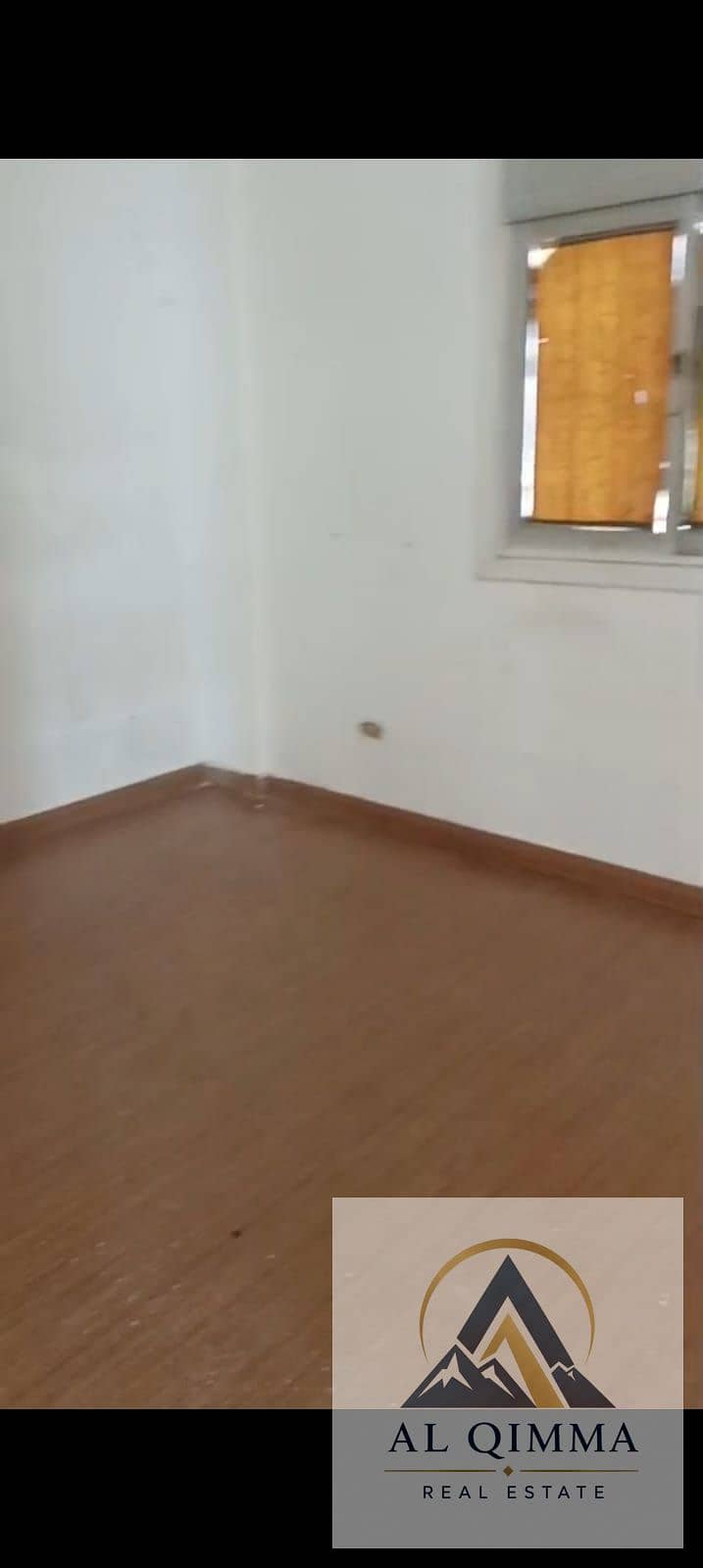 3 263772. jpg