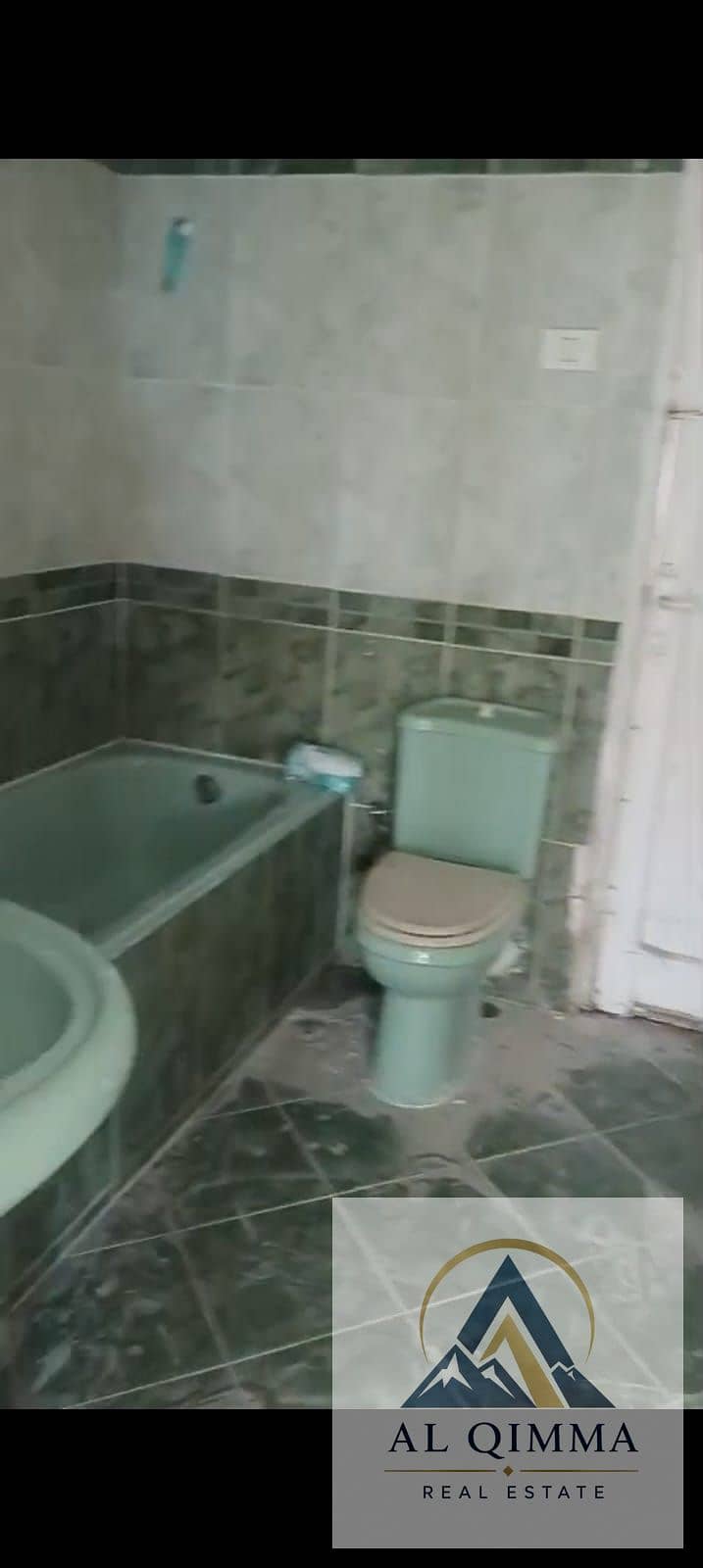 6 263769. jpg