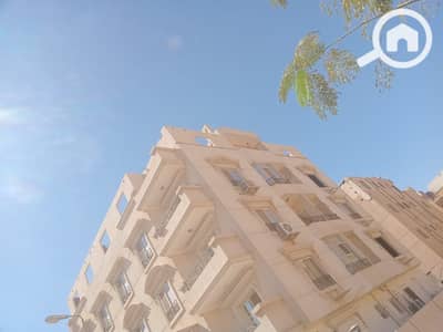 فلیٹ 7 غرف نوم للبيع في القاهرة الجديدة، القاهرة - 1000856227. jpg