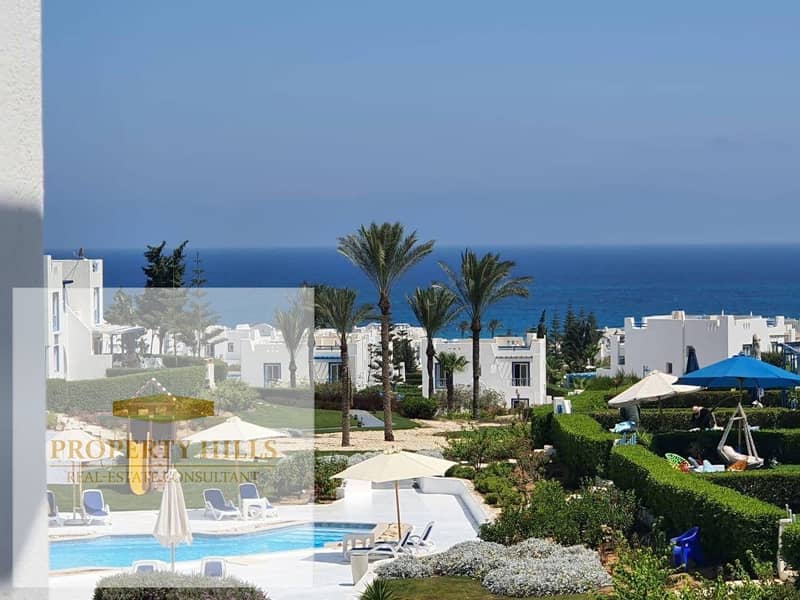 6 2. jpg