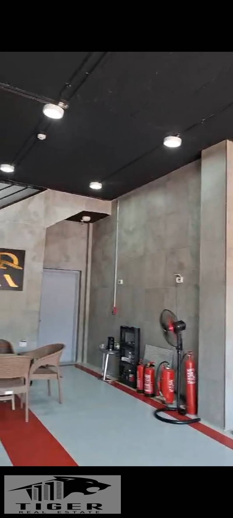 4 1000789349. jpg