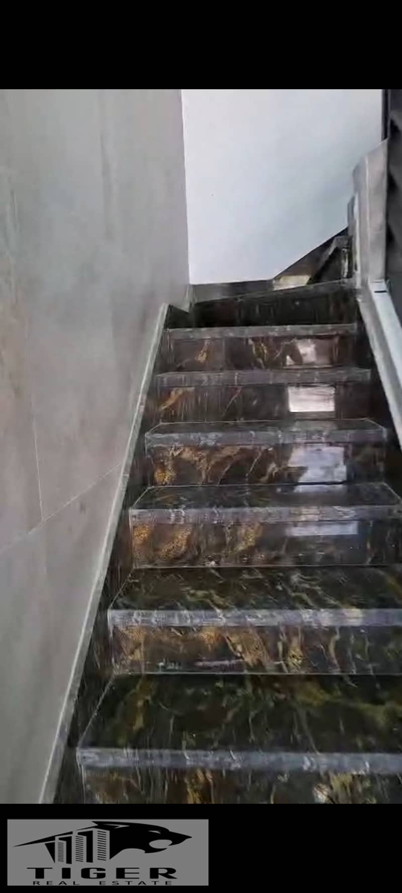 5 1000789352. jpg