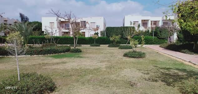 6 Bedroom Duplex for Sale in Shorouk City, Cairo - شقه أرضى مع بيزمنت هديه (فيلا) فى كمباوند امام كمباوند الجوهره وBUE 6 Bedroom Duplex for Sale in Shorouk City, Cairo - شقه أرضى مع بيزمنت هديه (فيلا) فى كمباوند امام كمباوند الجوهره وBUE