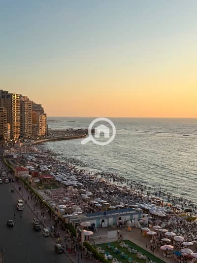 2 Bedroom Apartment for Sale in Mandara, Alexandria - 1000746226. jpg 2 Bedroom Apartment for Sale in Mandara, Alexandria - 1000746226. jpg