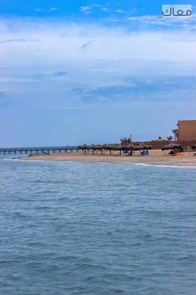 1 Bedroom Chalet for Sale in Ain Sukhna, Suez - WhatsApp Image 2026-07-14 at 3.34. 18 PM. jpeg