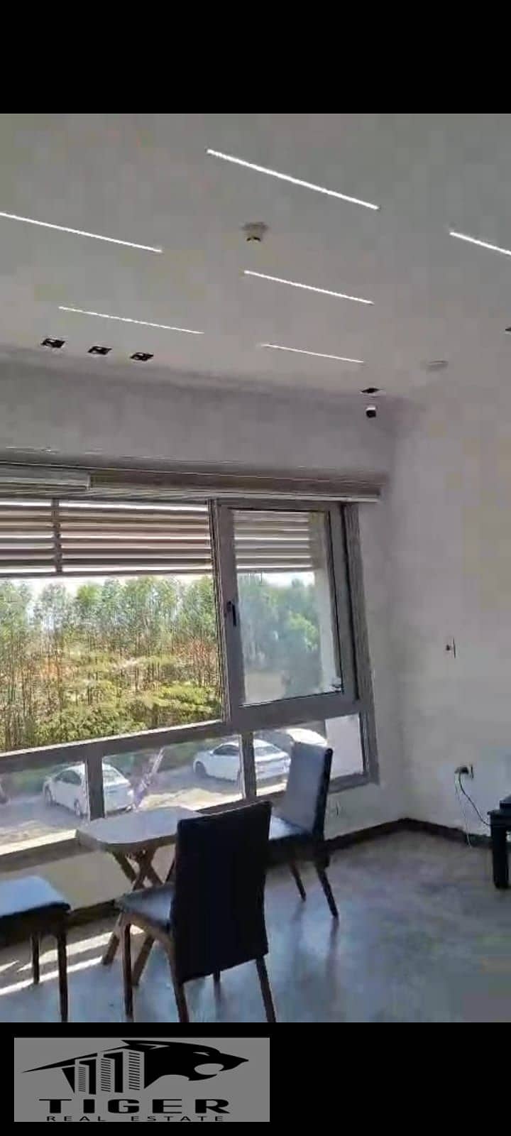 4 1000094294. jpg