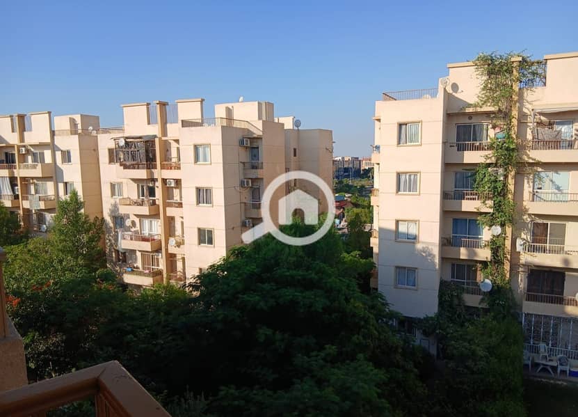 7 1000408883. jpg