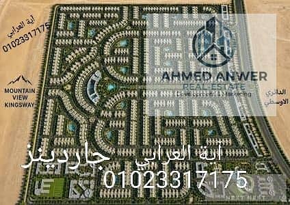 5 76191. jpg