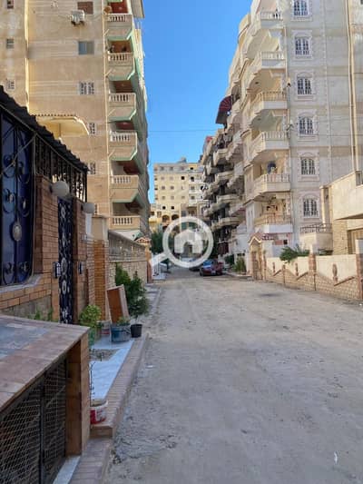 3 Bedroom Apartment for Sale in Nakheel, Alexandria - 22768. jpg 3 Bedroom Apartment for Sale in Nakheel, Alexandria - 22768. jpg