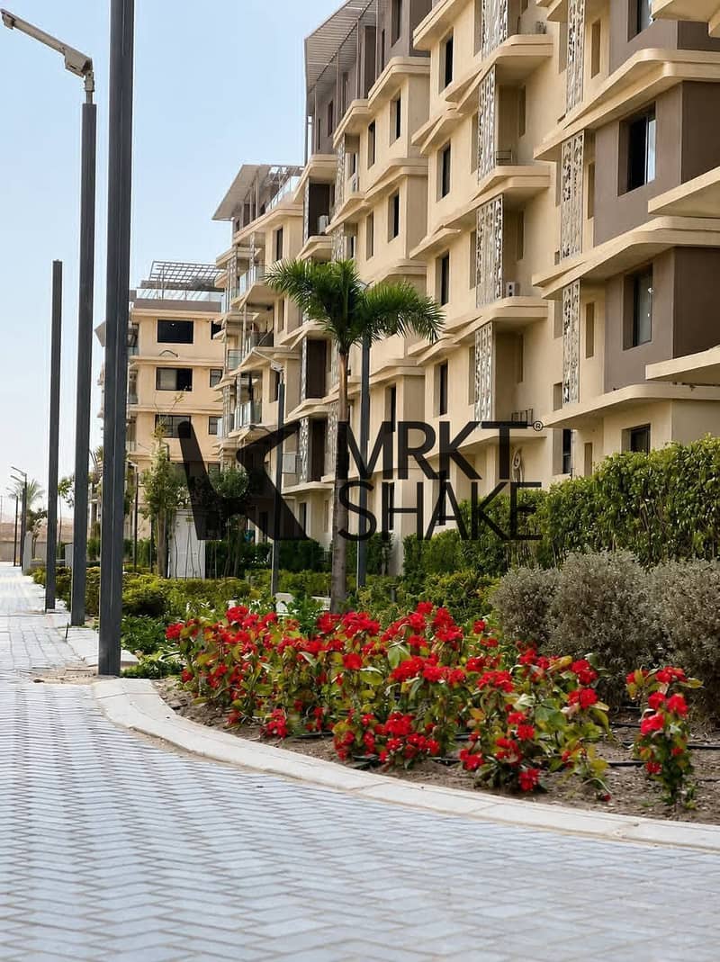 14 701420673_122132574333008713_8415555647363036326_n. jpg