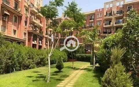 شقة 2 غرفة نوم للايجار في الشيخ زايد، الجيزة - 1000599163. jpg شقة 2 غرفة نوم للايجار في الشيخ زايد، الجيزة - 1000599163. jpg