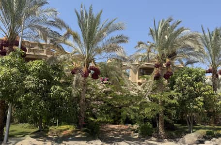 10+ Beds Villa for Sale in Obour City, Cairo - فيلا للبيع في الحي السادس العبور 10+ Beds Villa for Sale in Obour City, Cairo - فيلا للبيع في الحي السادس العبور