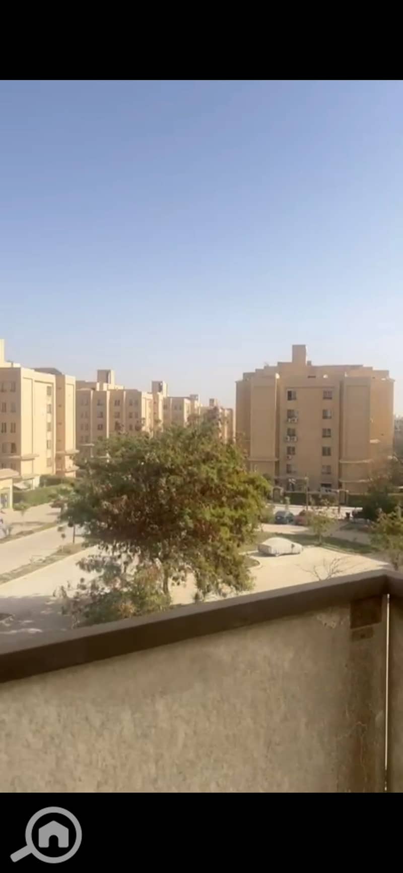 7 907937. jpg