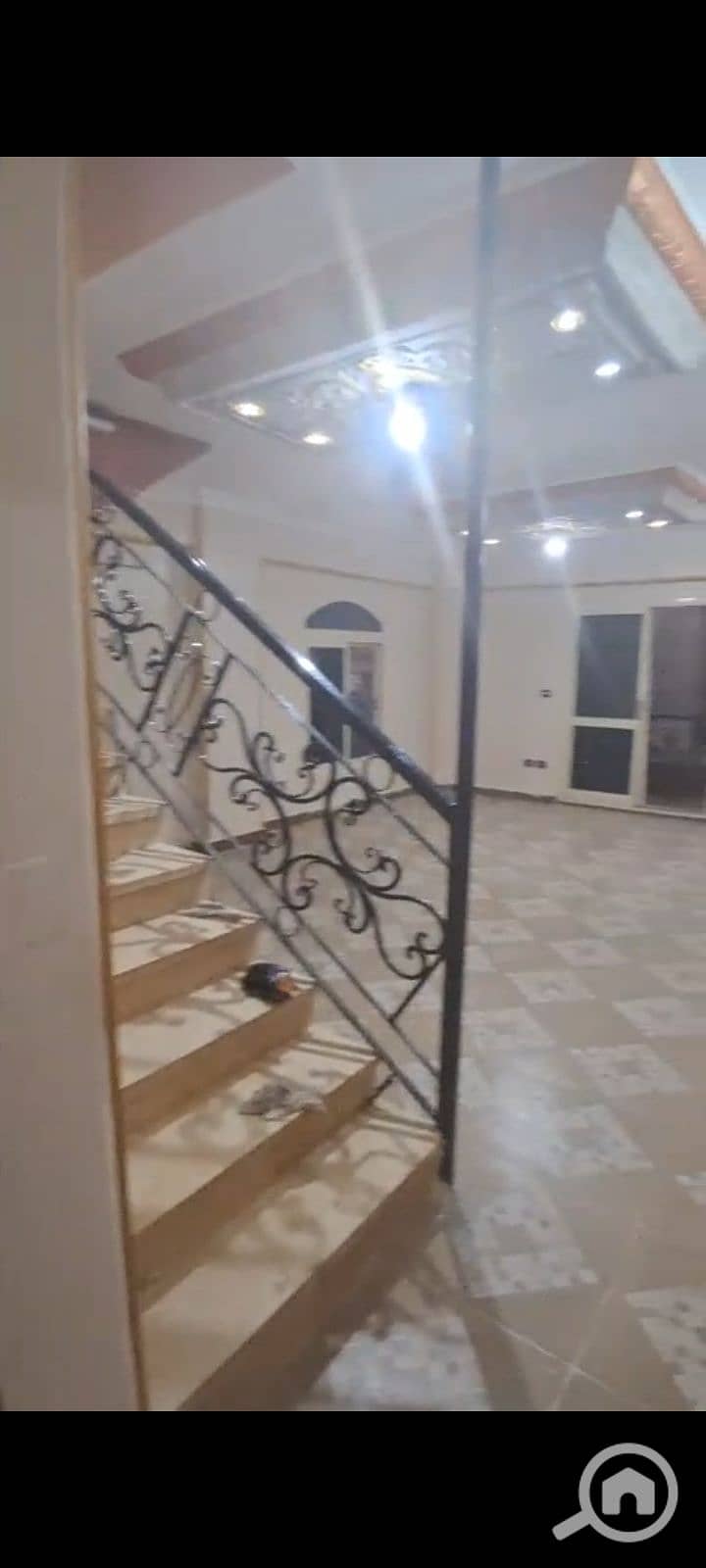 3 1000072706. jpg