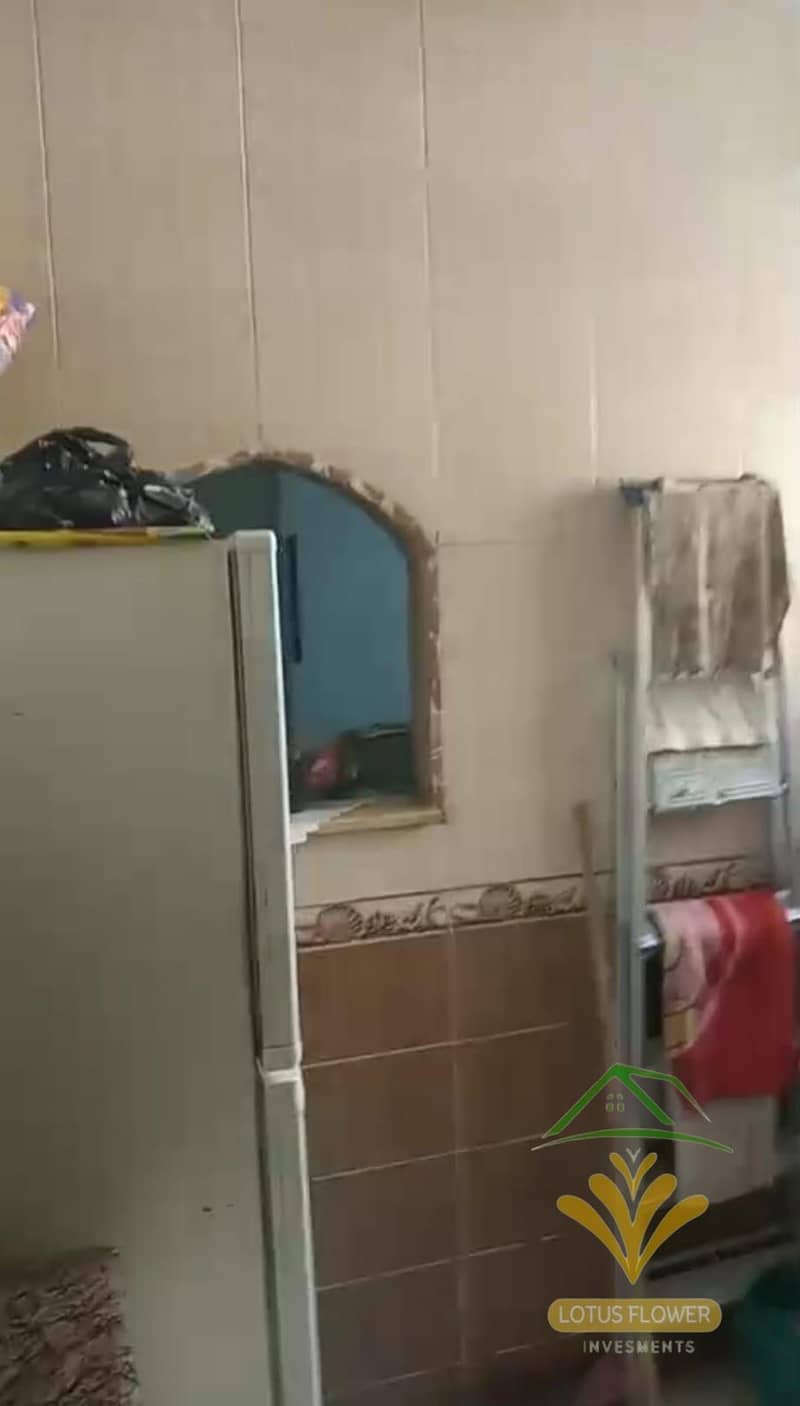5 1001183472. jpg