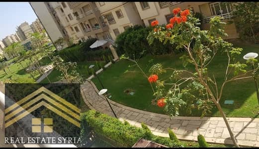 3 Bedroom Flat for Rent in Madinaty, Cairo - 1000535822. jpg 3 Bedroom Flat for Rent in Madinaty, Cairo - 1000535822. jpg