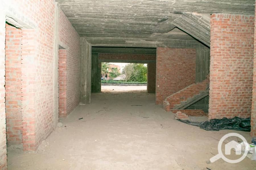 6 1001212071. jpg