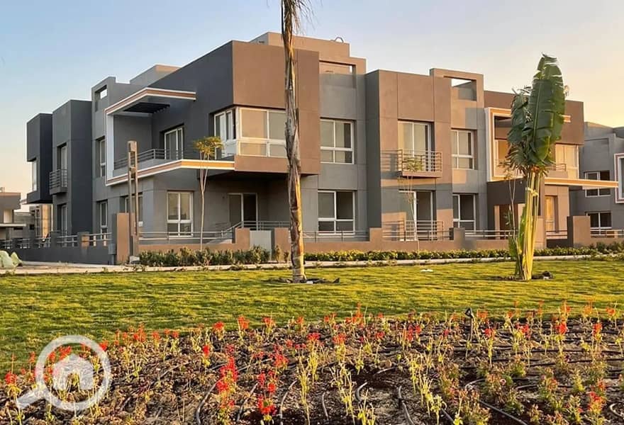 2 1312x894 (11). jpg