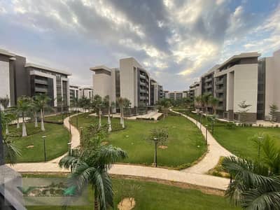 3 Bedroom Flat for Rent in Madinaty, Cairo - WhatsApp Image 2026-08-08 at 16.00. 36. jpeg 3 Bedroom Flat for Rent in Madinaty, Cairo - WhatsApp Image 2026-08-08 at 16.00. 36. jpeg