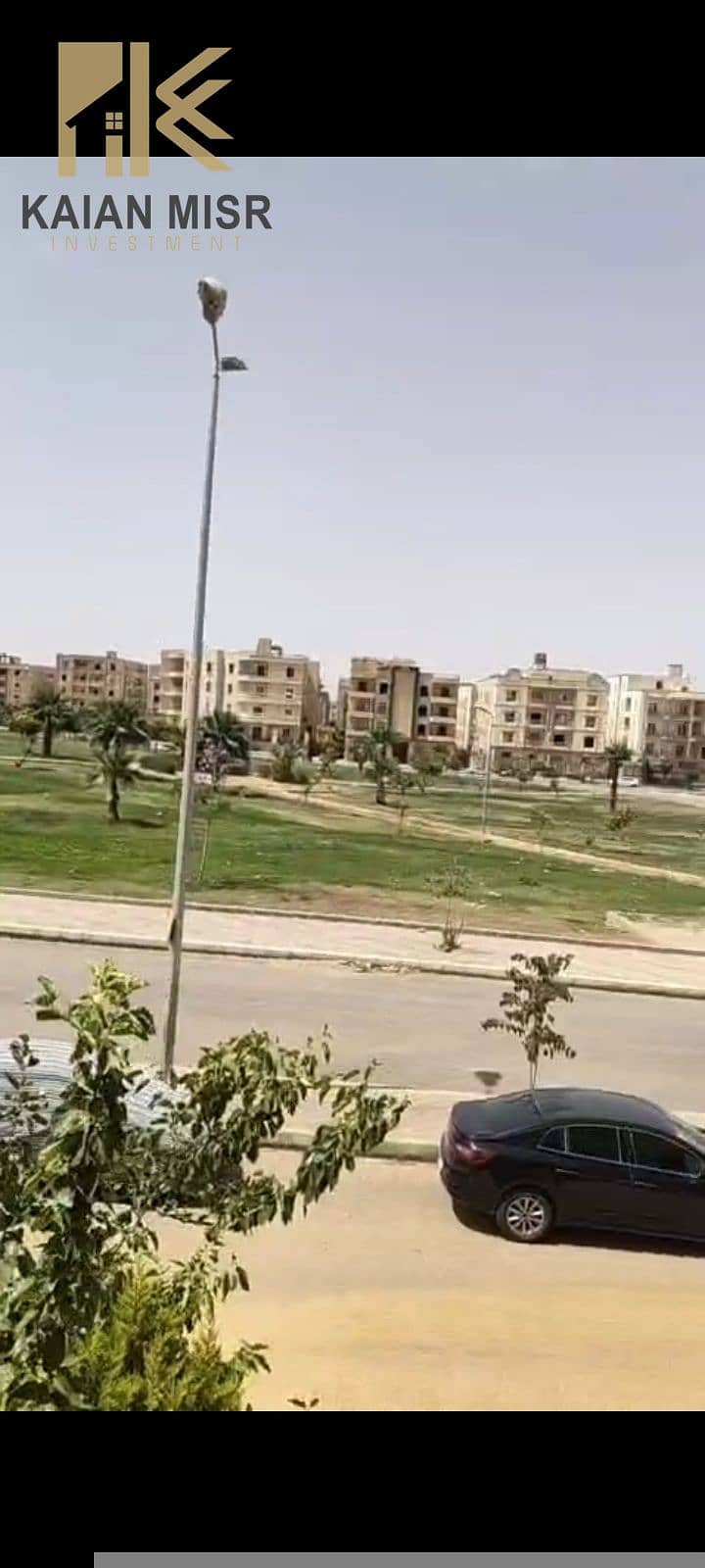3 3826. jpg