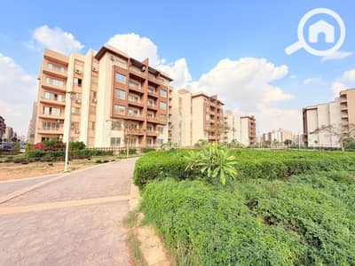 3 Bedroom Apartment for Sale in Shorouk City, Cairo - WhatsApp Image 2026-08-08 at 4.59. 29 PM. jpeg 3 Bedroom Apartment for Sale in Shorouk City, Cairo - WhatsApp Image 2026-08-08 at 4.59. 29 PM. jpeg
