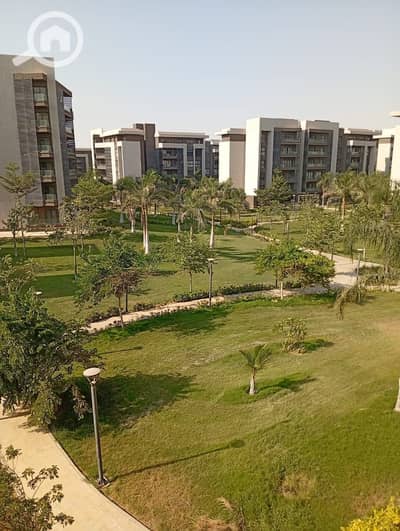 3 Bedroom Flat for Rent in Madinaty, Cairo - WhatsApp Image 2026-08-08 at 4.45. 44 PM. jpeg