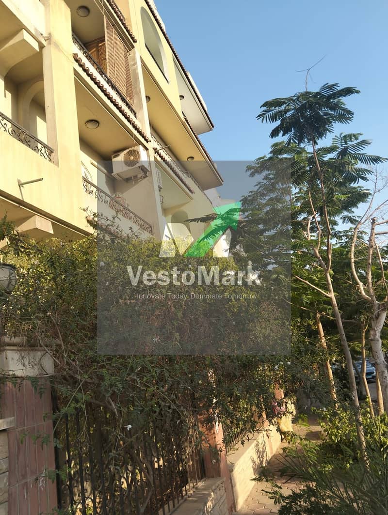 8 1000390441. jpg