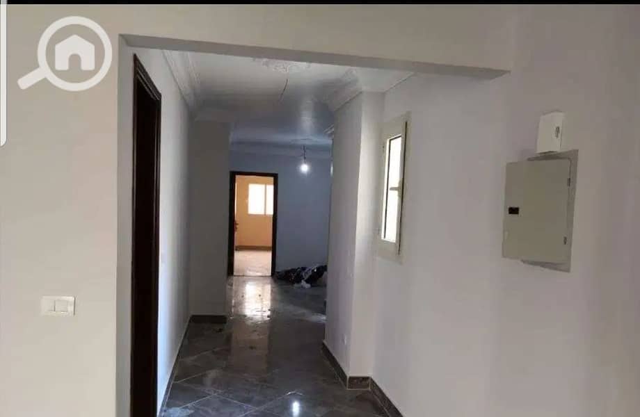 7 1000394834. jpg