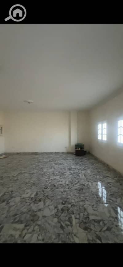 محلات تجارية للايجار في القاهرة الجديدة، القاهرة - 1001387662. jpg محلات تجارية للايجار في القاهرة الجديدة، القاهرة - 1001387662. jpg