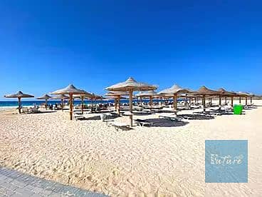 5 IMG_3086. webp
