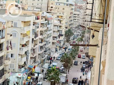 فلیٹ 2 غرفة نوم للبيع في النخيل، الإسكندرية - 1001012548. jpg