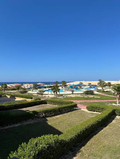 شاليه 2 غرفة نوم للبيع في الساحل الشمالي، مطروح - Coral Hills Resort chalet for sale من المالك مباشرتا قرية كورال هيلز شاليه 2 غرفة نوم للبيع في الساحل الشمالي، مطروح - Coral Hills Resort chalet for sale من المالك مباشرتا قرية كورال هيلز