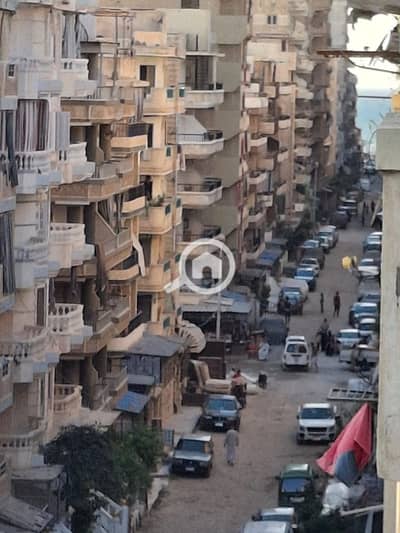 2 Bedroom Flat for Sale in Nakheel, Alexandria - 1000465971. jpg 2 Bedroom Flat for Sale in Nakheel, Alexandria - 1000465971. jpg