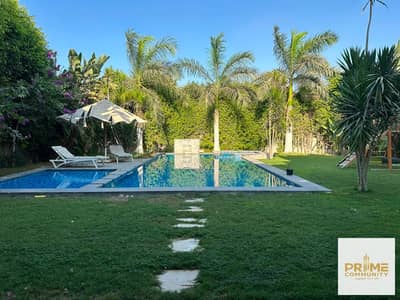 5 Bedroom Villa for Rent in 6th of October, Giza - b1b58341-d4be-4cd2-bba6-ca9c713bd37c. jpg 5 Bedroom Villa for Rent in 6th of October, Giza - b1b58341-d4be-4cd2-bba6-ca9c713bd37c. jpg