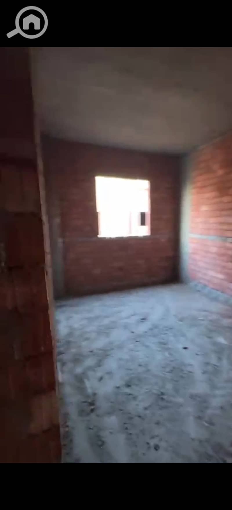 4 99770. jpg