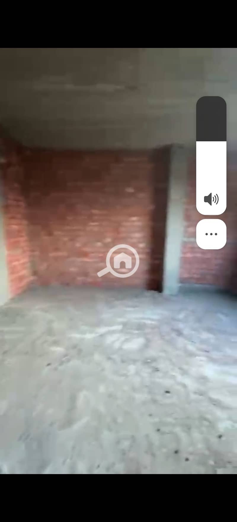 7 99768. jpg