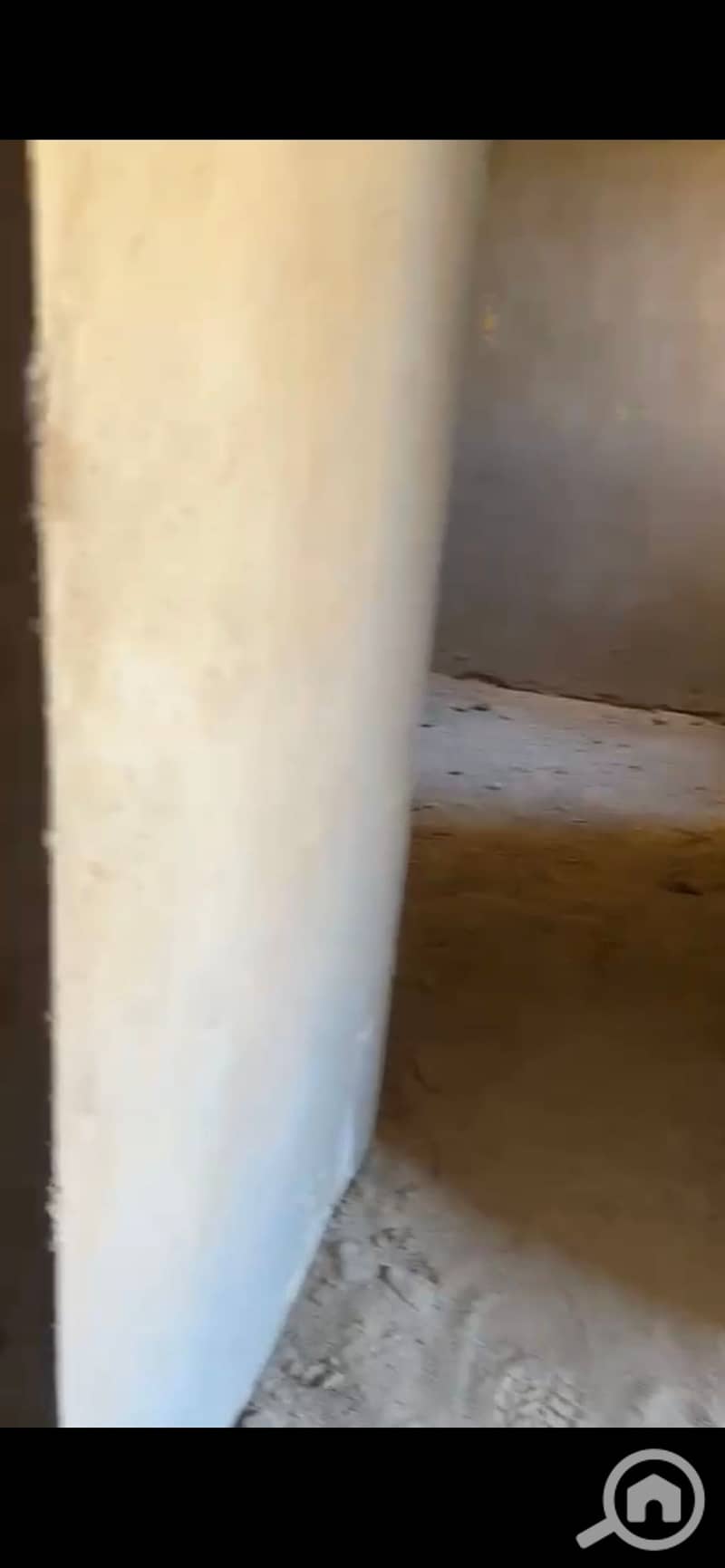 3 909093. jpg