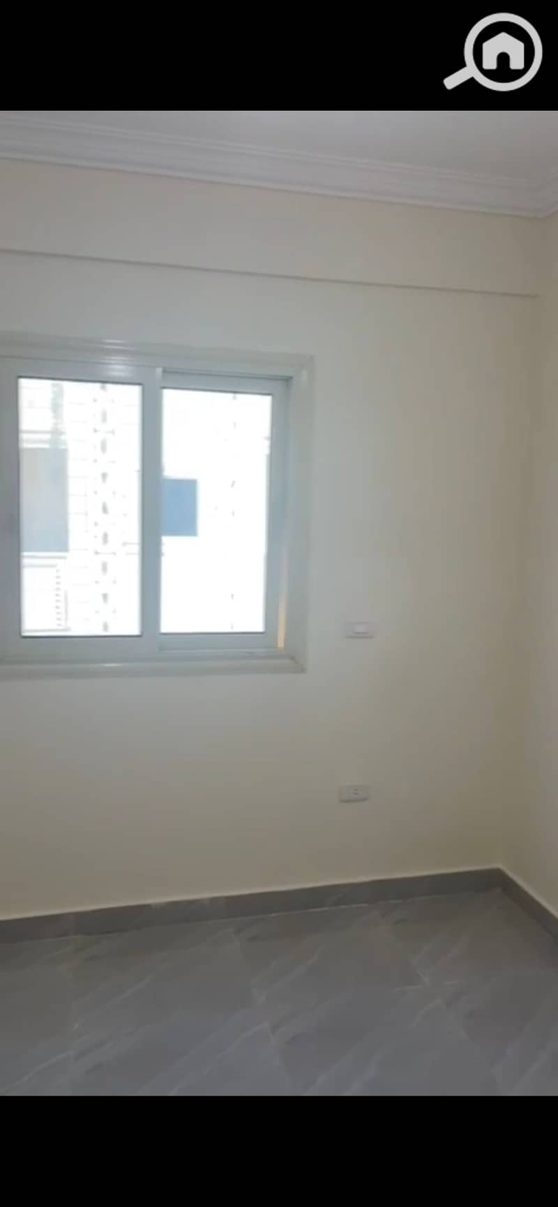 13 909316. jpg
