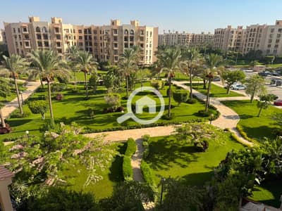 3 Bedroom Apartment for Sale in New Cairo, Cairo - 263983. jpg 3 Bedroom Apartment for Sale in New Cairo, Cairo - 263983. jpg
