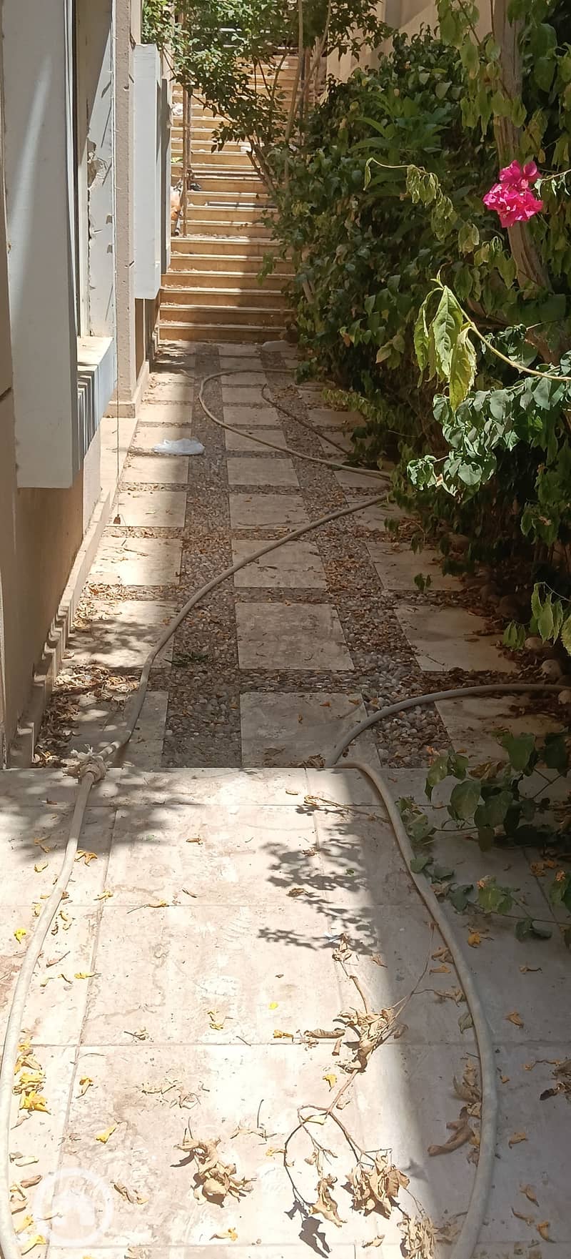 3 31470. jpg